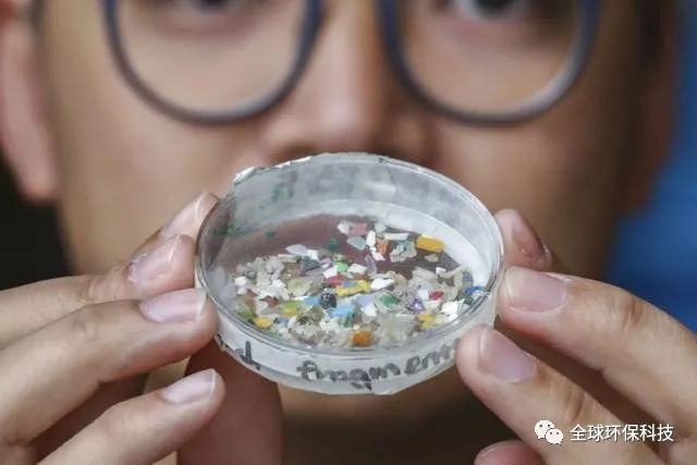 關于“微塑料”的危害，你了解多少？